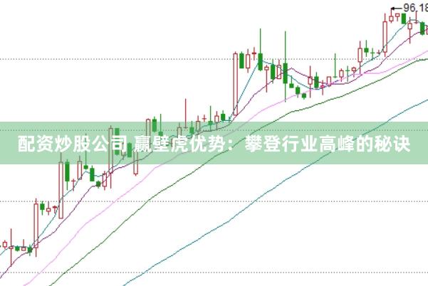 配资炒股公司 赢壁虎优势：攀登行业高峰的秘诀