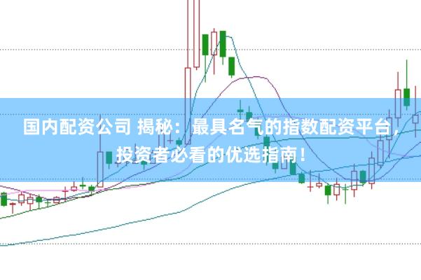 国内配资公司 揭秘：最具名气的指数配资平台，投资者必看的优选指南！
