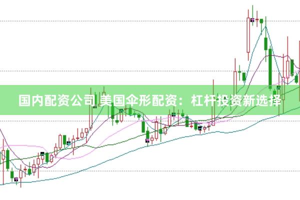 国内配资公司 美国伞形配资：杠杆投资新选择