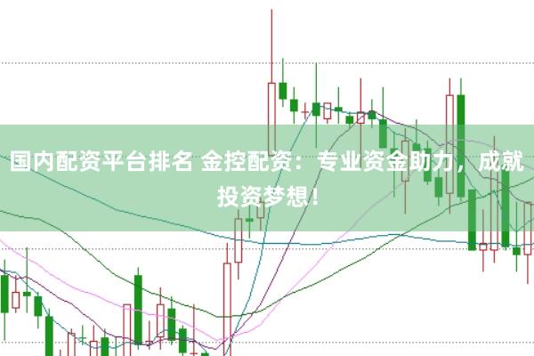 国内配资平台排名 金控配资：专业资金助力，成就投资梦想！
