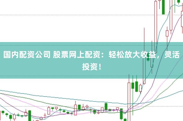 国内配资公司 股票网上配资：轻松放大收益，灵活投资！