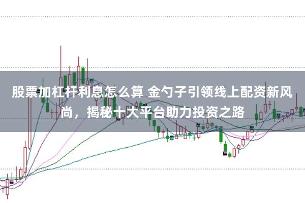 股票加杠杆利息怎么算 金勺子引领线上配资新风尚，揭秘十大平台助力投资之路