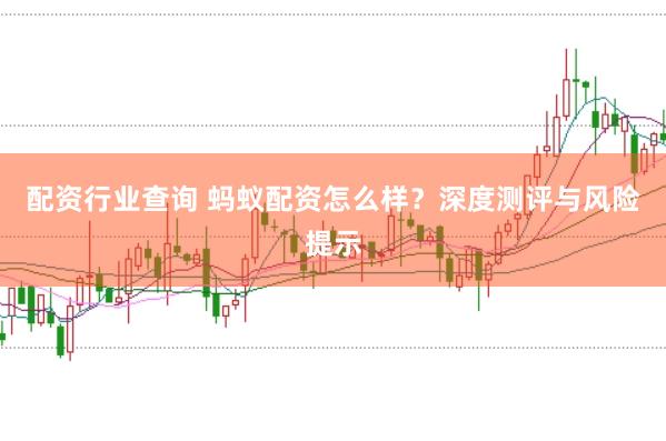 配资行业查询 蚂蚁配资怎么样？深度测评与风险提示