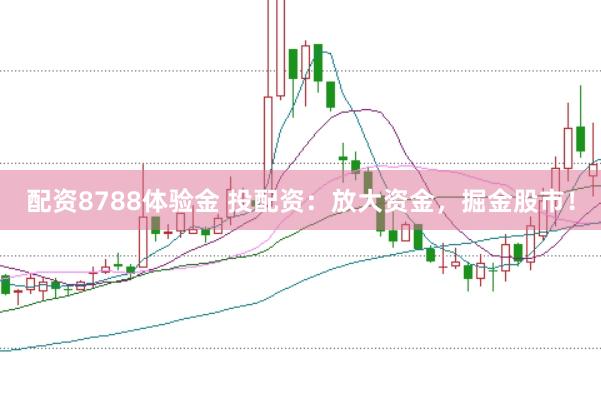 配资8788体验金 投配资：放大资金，掘金股市！