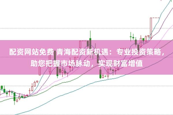 配资网站免费 青海配资新机遇：专业投资策略，助您把握市场脉动，实现财富增值