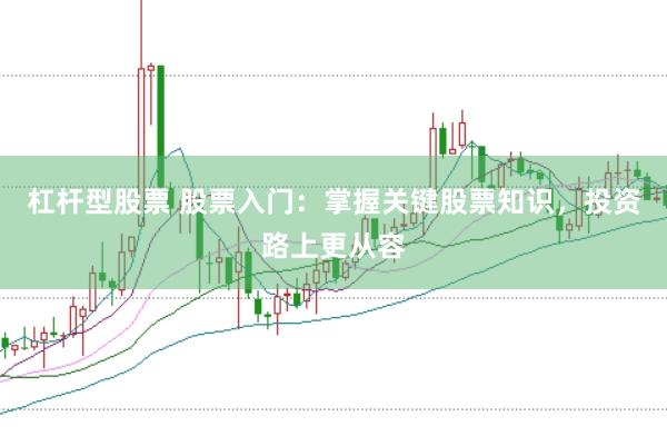 杠杆型股票 股票入门：掌握关键股票知识，投资路上更从容