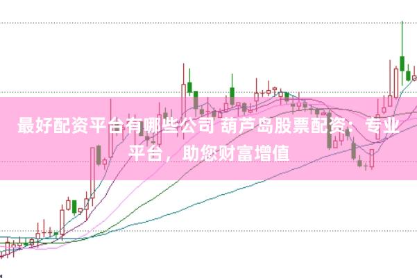 最好配资平台有哪些公司 葫芦岛股票配资：专业平台，助您财富增值