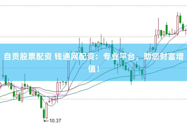 自贡股票配资 钱通网配资：专业平台，助您财富增值！
