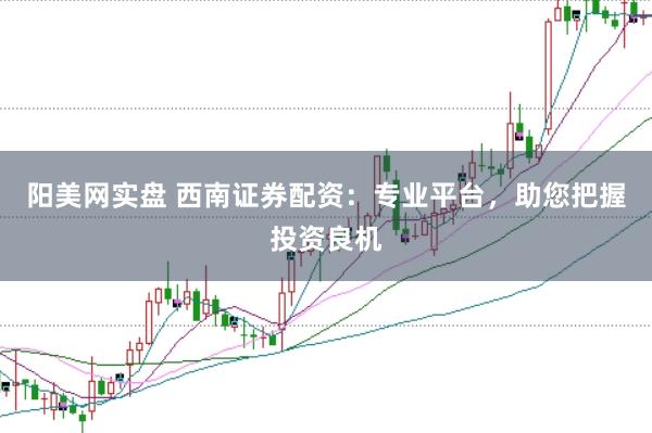 阳美网实盘 西南证券配资：专业平台，助您把握投资良机