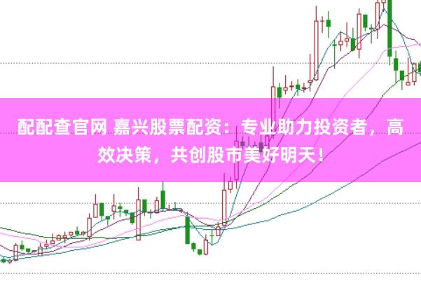 配配查官网 嘉兴股票配资：专业助力投资者，高效决策，共创股市美好明天！