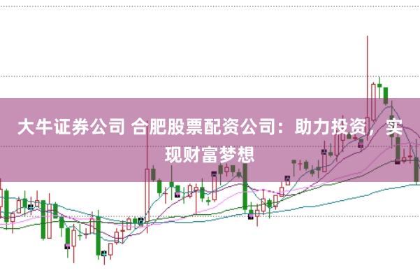 大牛证券公司 合肥股票配资公司：助力投资，实现财富梦想