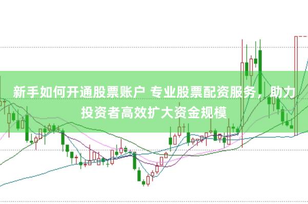 新手如何开通股票账户 专业股票配资服务，助力投资者高效扩大资金规模