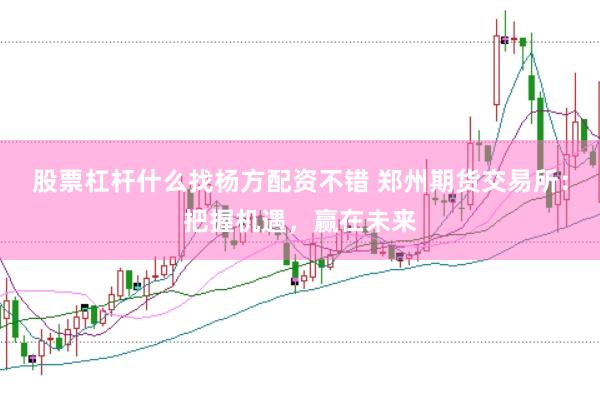 股票杠杆什么找杨方配资不错 郑州期货交易所：把握机遇，赢在未来