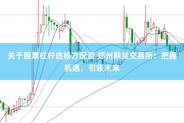 关于股票杠杆选杨方配资 郑州期货交易所：把握机遇，引领未来