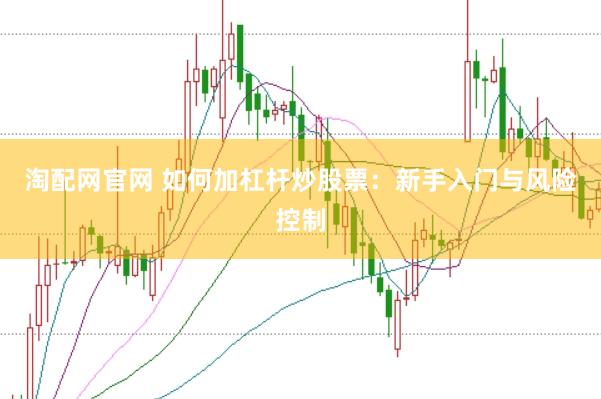 淘配网官网 如何加杠杆炒股票:新手入门与风险控制