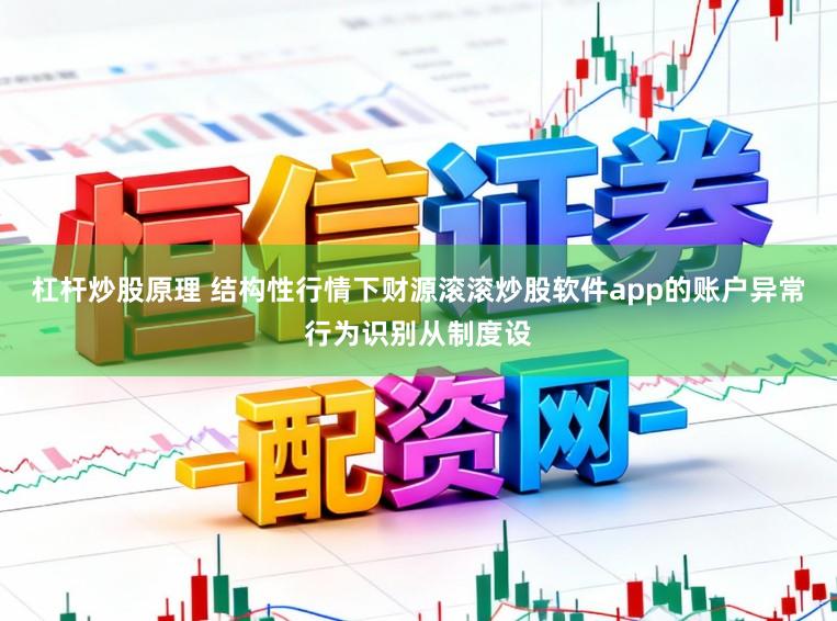 杠杆炒股原理 结构性行情下财源滚滚炒股软件app的账户异常行为识别从制度设