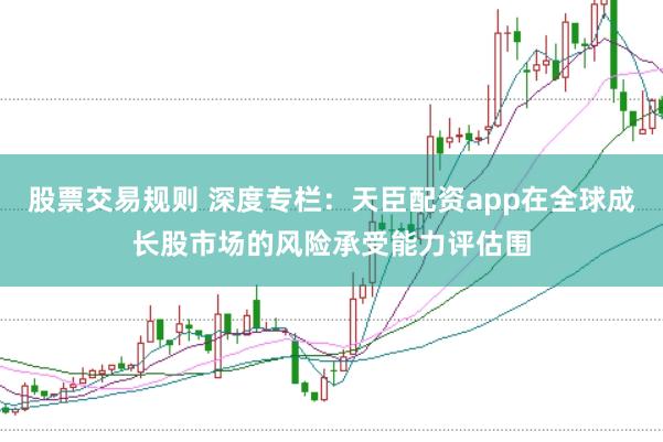 股票交易规则 深度专栏：天臣配资app在全球成长股市场的风险承受能力评估围