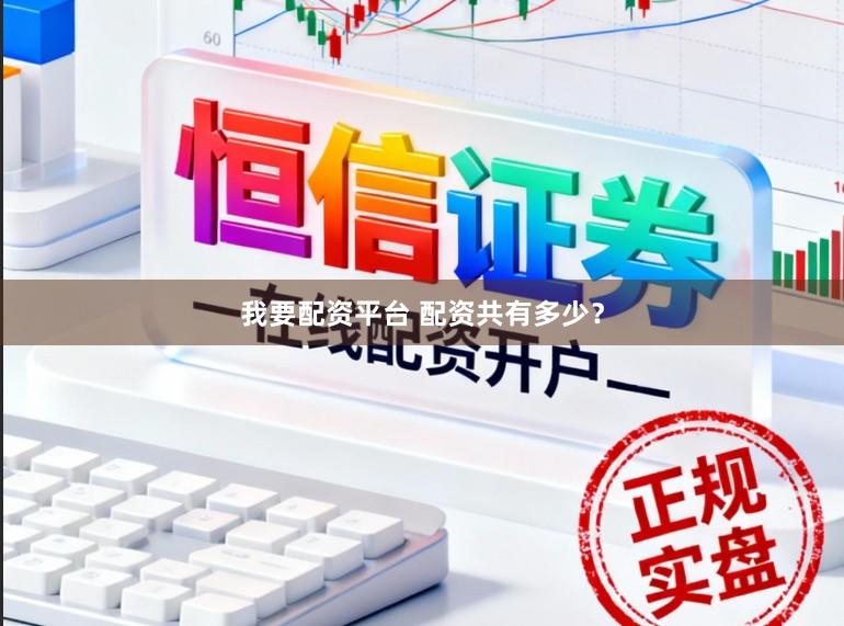 我要配资平台 配资共有多少？